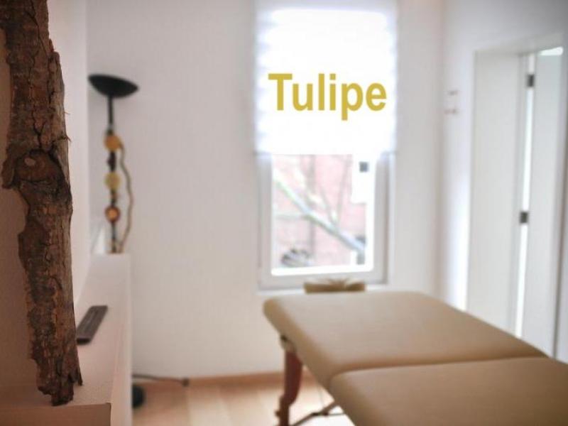 Salle de soins et consultations à louer Salle Tulipe